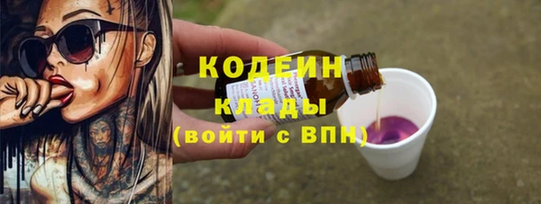 твердый Горняк