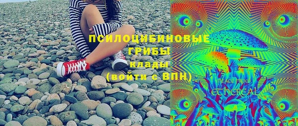 твердый Горняк