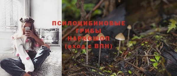 каннабис Горнозаводск