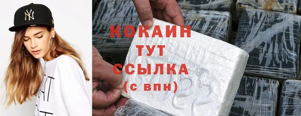 твердый Горняк