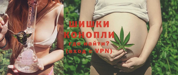 твердый Горняк