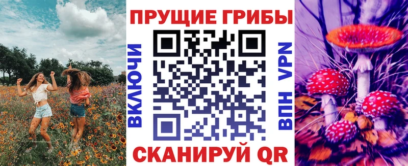 Галлюциногенные грибы Psilocybe  Купить где  Коммунар 